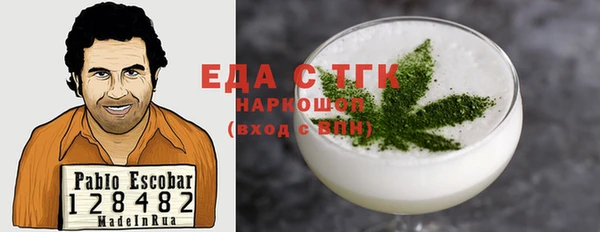 хмурый Аркадак