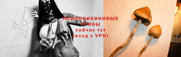 ГАЛЛЮЦИНОГЕННЫЕ ГРИБЫ Армянск