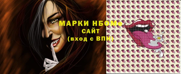хмурый Аркадак