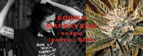 ГАЛЛЮЦИНОГЕННЫЕ ГРИБЫ Армянск