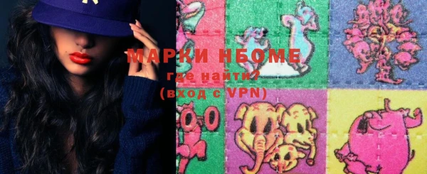 хмурый Аркадак