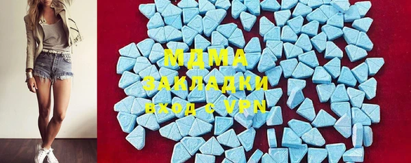 хмурый Аркадак