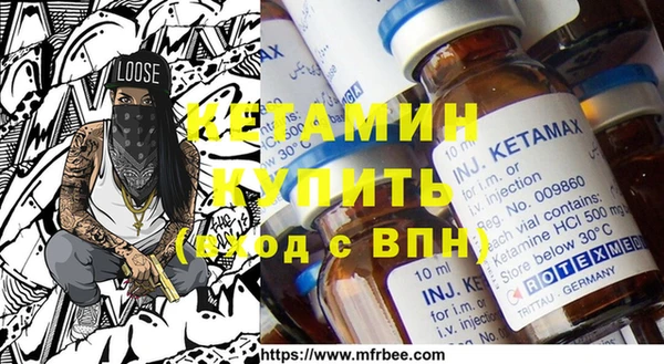 хмурый Аркадак
