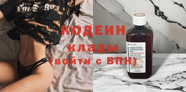 хмурый Аркадак