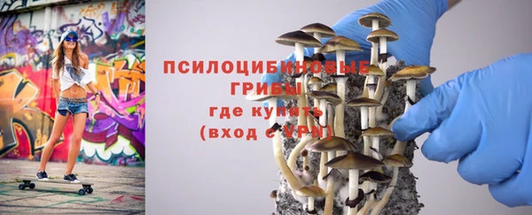 ГАЛЛЮЦИНОГЕННЫЕ ГРИБЫ Армянск