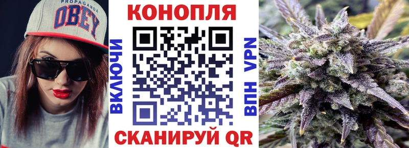 Купить где Егорьевск Каннабис конопля